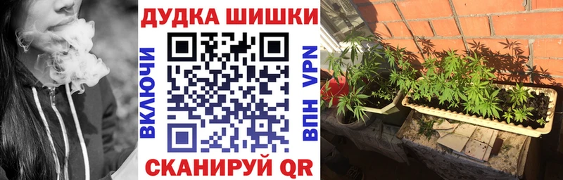 Купить наркотик Брянск COCAIN  Меф мяу мяу  Alpha-PVP  Марихуана  Гашиш 