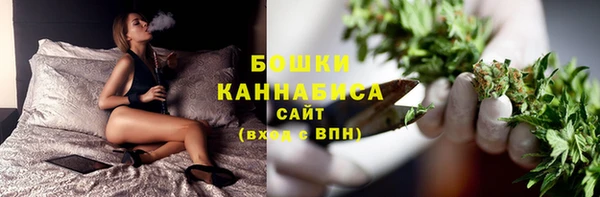 шишки Балабаново